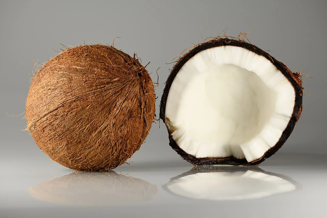 A whole brown coconut and a split coconut showing its thick white flesh.